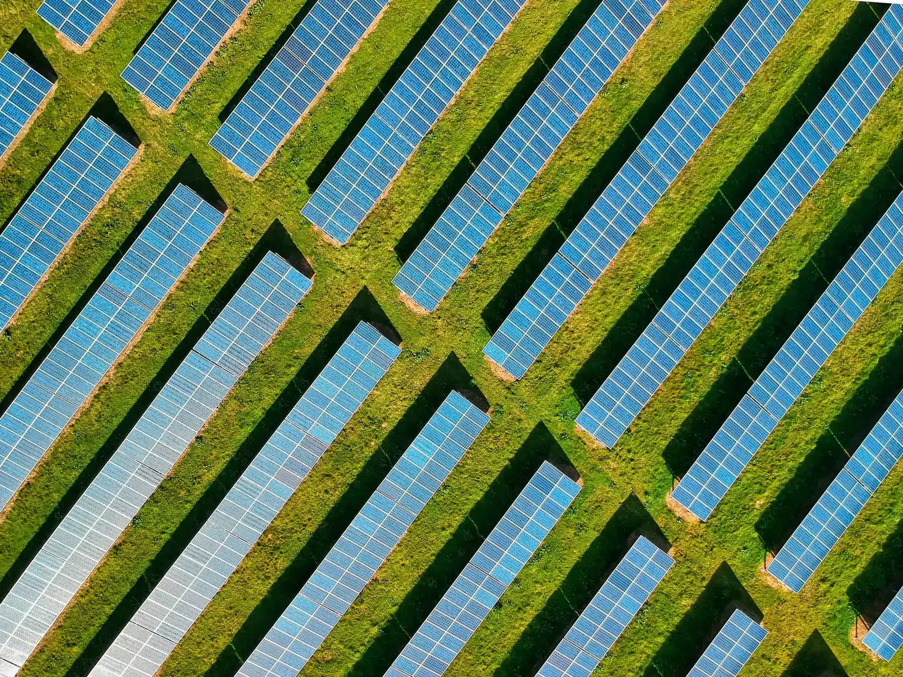 Solarpark von oben, Modulreihen in Diagonalen über grünem Gras