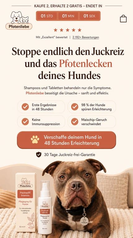 Pfotenliebe — Arbeit von NextPercent